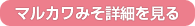 �ޥ륫��ߤ��ܺ٤򸫤�