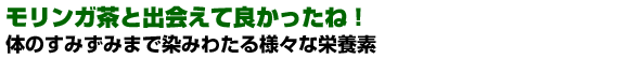 飲んで良かったモリンガ茶 体のすみずみまで染み渡る様々な有効成分