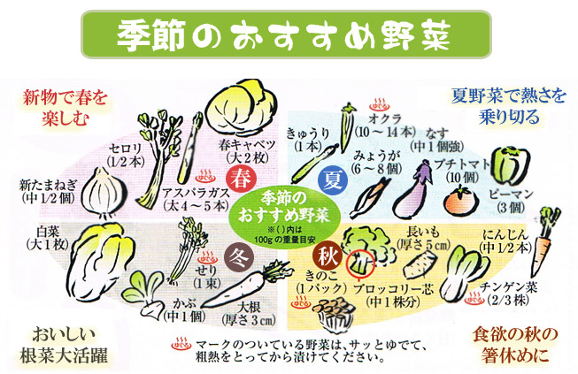 季節のおすすめ野菜
